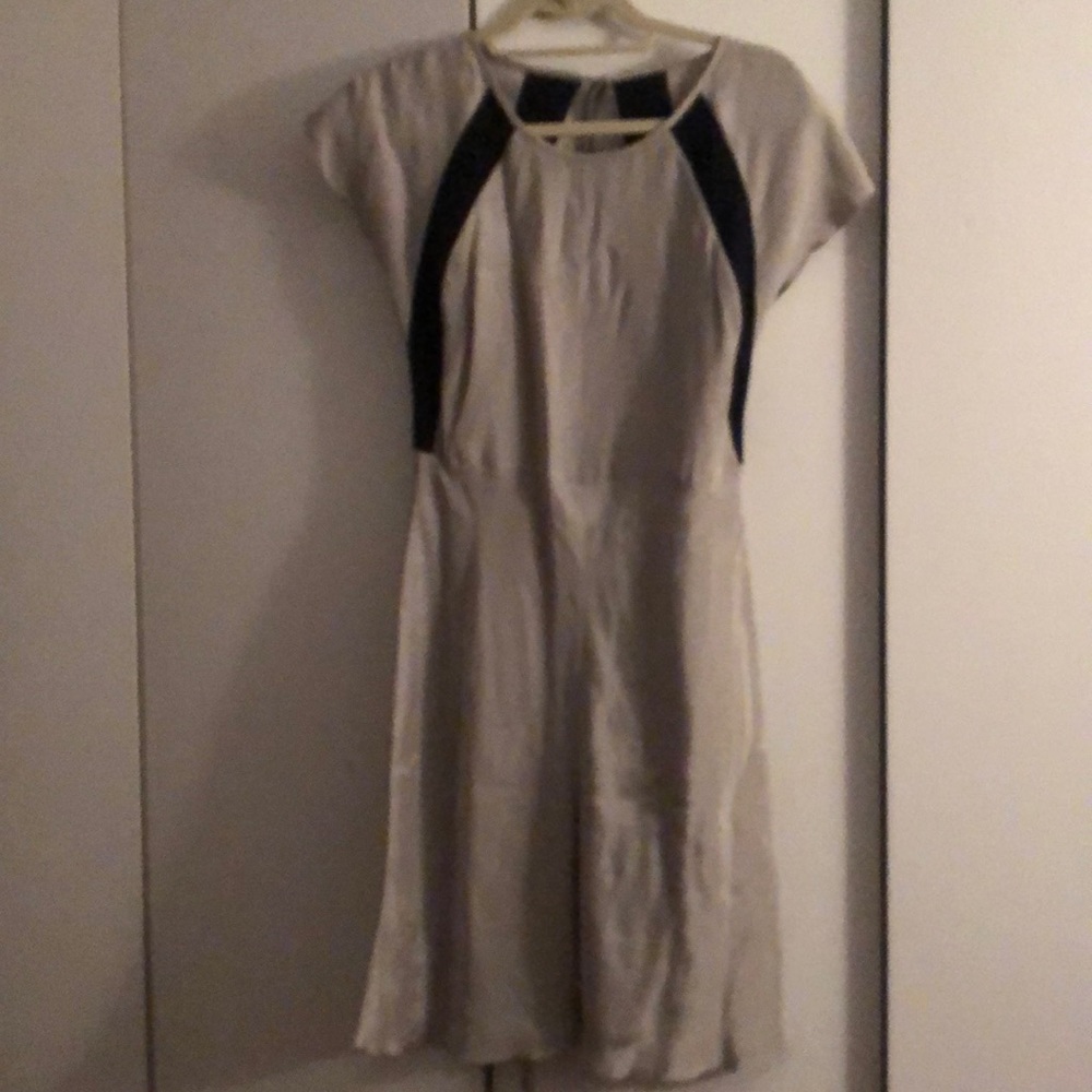 Silver dress